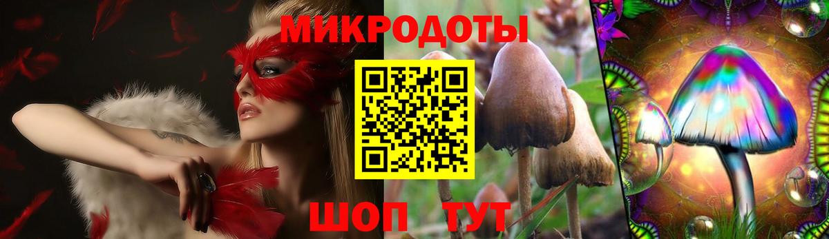 Черногорск  Псилоцибиновые грибы Magic Shrooms  закладки  Вход с VPN  Псилоцибиновые грибы Psilocybe 